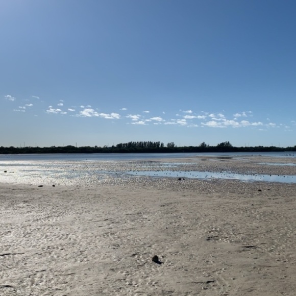 Meet your Posher, Karlina - Picture 1 of 1